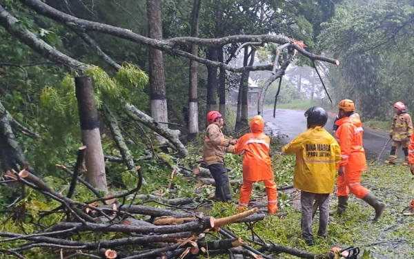 Thumbnail Berita - ‎Pohon Tumbang di Kawasan Payung Ganggu Lalu Lintas Kota Batu Menuju Pujon