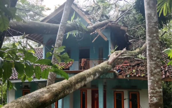 Thumbnail Berita - Pekan Ketiga Oktober, Sejumlah Wilayah di Indonesia Diterjang Banjir dan Angin Kencang