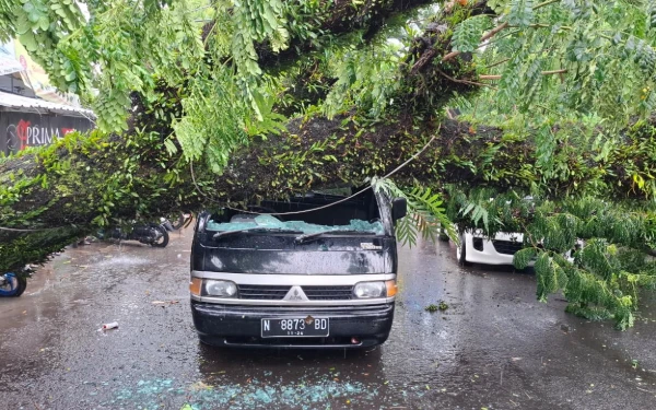 Thumbnail Berita - Diterjang Angin Kencang, Pohon Trembesi di Comboran Malang Roboh dan Lukai Warga