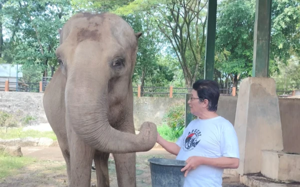 Thumbnail Berita - Banyak Sarjana Hukum di 9 Nama Calon Direktur KBS, Konservasionis: Mau Bikin LBH?