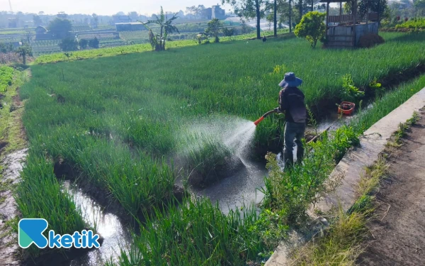 Thumbnail Berita - Pemkot Batu Genjot Produksi Benih Unggul, Petani Manfaatkan Kultur Jaringan