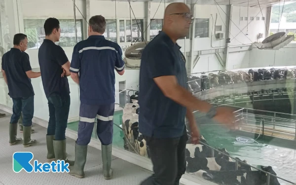 Sidak atau Wisata Industri? Operasi TIMPORA Blitar di PT Greenfields Diduga Berubah Jadi Tur Lihat Sapi Perah