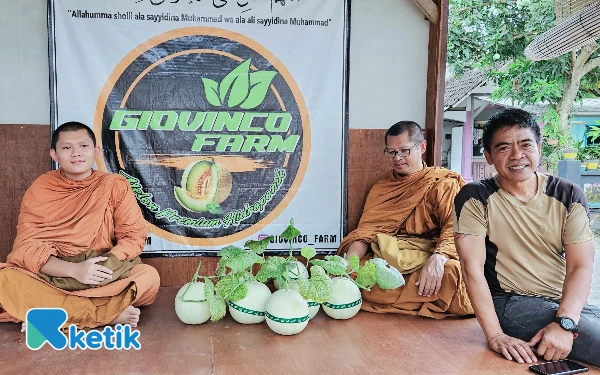 Thumbnail Politikus Blitar Banting Stir Jadi Petani Melon: Kebun Hidroponik Jadi Wisata Petik Cuan Jutaan