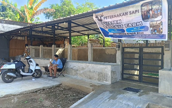 Bantuan Ternak Tak Cair, Poknak Bondowoso Keluhkan Kerugian Usai Buat Kandang