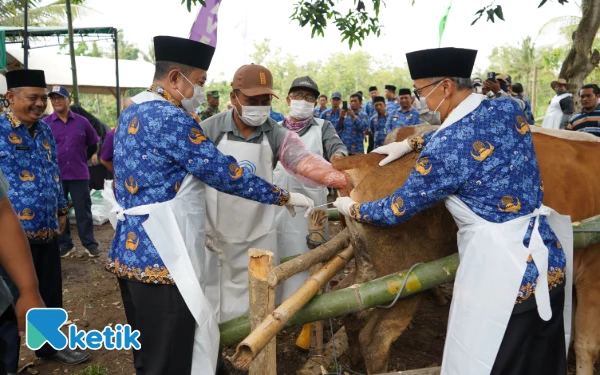 Bupati Bondowoso Dorong Penguatan Layanan Peternakan di Wilayah Terpencil