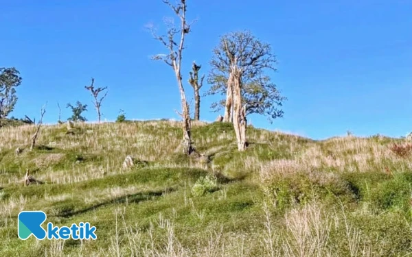 Thumbnail Berita - Hutan Brebes Menangis, Banjir Bandang Tewaskan 3 Orang