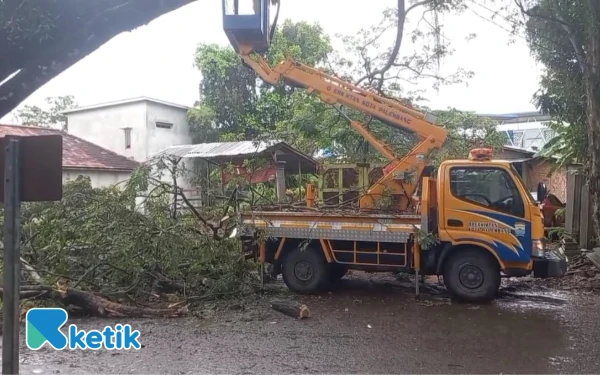 Thumbnail Berita - Hujan Deras Robohkan Pohon Tua di 5 Ulu, Akses Jalan Lumpuh Tujuh Jam