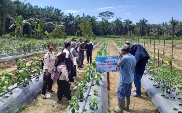 Thumbnail Berita - Desa Bukit Makmur Masuk 15 Besar Nasional Program BRILiaN 2025: Bukti Inovasi Tak Mengenal Batas