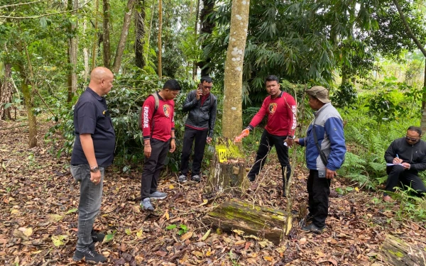 Thumbnail Berita - Buka Lahan dengan Cara Ilegal, Tiga Warga Kintamani Diringkus Usai Rusak 193 Pohon di Kawasan Hutan