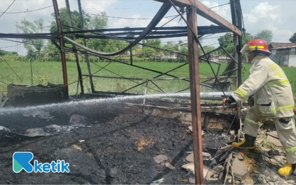 Belasan Ribu Ekor Ayam di Probolinggo Terbakar, Kerugian Capai Ratusan Juta