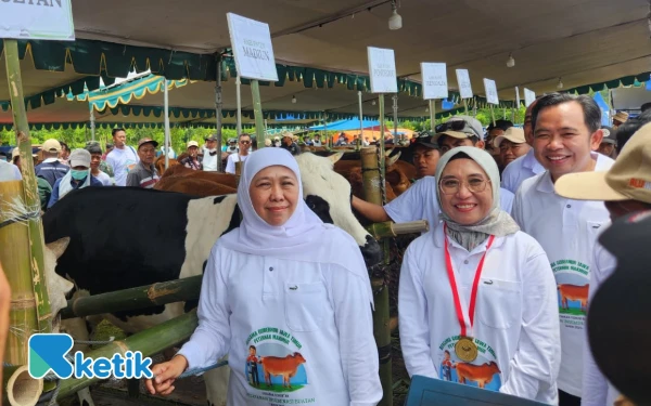Thumbnail Berita - Gerakan Inseminasi Buatan Serentak Ternak Sapi di Jatim Pecahkan Rekor MURI