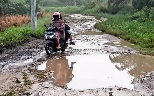 Dua Tahun Tak Kunjung Diperbaiki, Hujan Perparah Kerusakan Jalan Royal Cattleya Sosopan Labusel