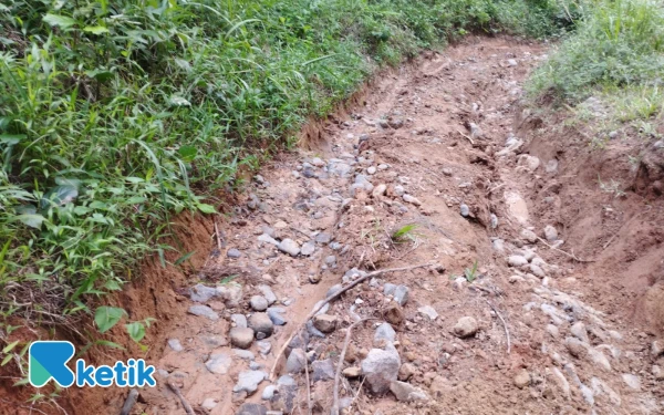 Thumbnail Berita - Kondisi Jalan Perbatasan antar Kabupaten Kontras, Cilacap Mulus Brebes Masih Tanah!