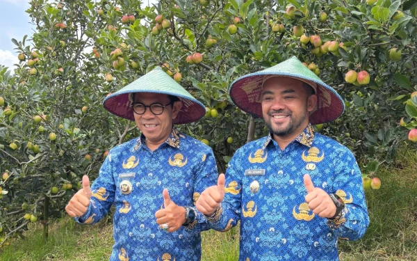 Misi Selamatkan Apel Batu dari Kepunahan, Wali Kota Batu Turun Langsung Temui Petani