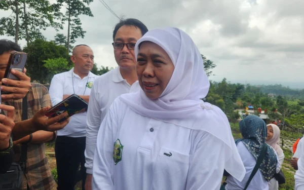 Gubernur Khofifah Puji Kinerja Bupati Lumajang, Ajak Masyarakat Kenali Wilayah Hindari Bencana
