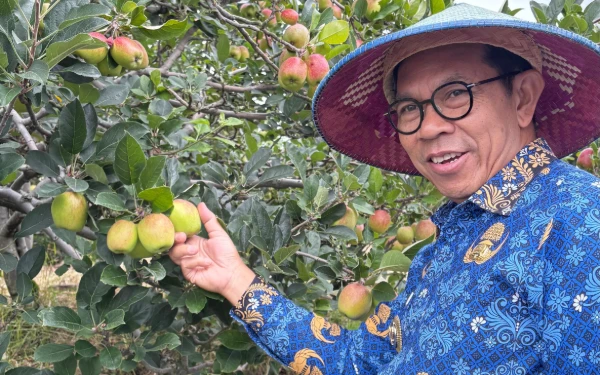 Gandeng BRIN, Distan-KP Kota Batu Siapkan Bibit Unggul untuk Selamatkan Apel