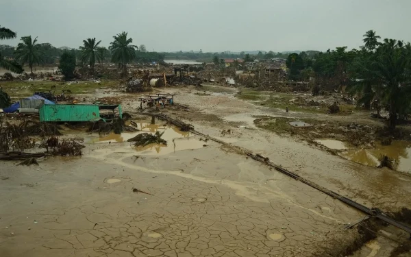 Aktivis Wanda Assyura Ajak Tenangkan Situasi Aceh, Kritik Perlu Agar Bantuan Terus Dipercepat