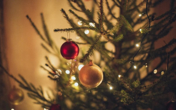 Thumbnail Berita - Tak Hanya Pohon Natal, Ini 10 Dekorasi yang Bikin Rumah Makin Hangat