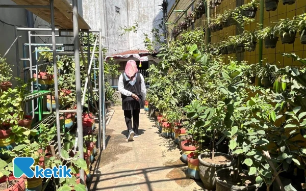 Thumbnail Berita - Tekan Stunting, Pemkot Malang Perkuat Ketahanan Pangan Keluarga Lewat Urban Farming