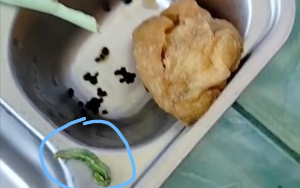 Siswa Sekolah Penerima Manfaat Makan Gizi Gratis Temukan Ulat Sayur dari SPPG Kedungrejo Kerek Tuban Yayasan Hamdalah Cerdas Amaliyah