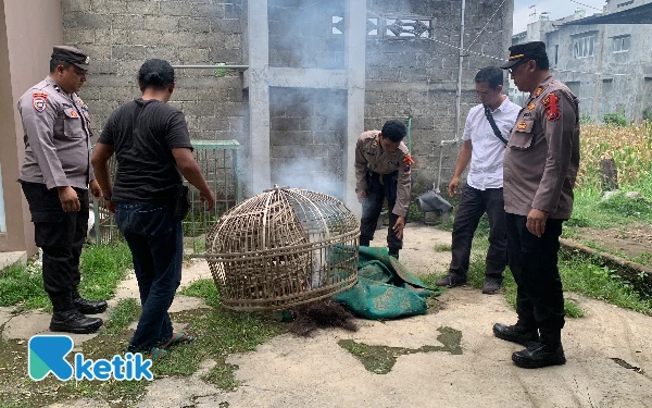 Thumbnail Berita - Polisi Bongkar Arena Sabung Ayam di Klampok, Polres Blitar Kota: Tak Ada Toleransi untuk Perjudian!