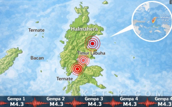 Gempa Dangkal M4,3 Terjadi di Timur Labuha Halmahera Selatan