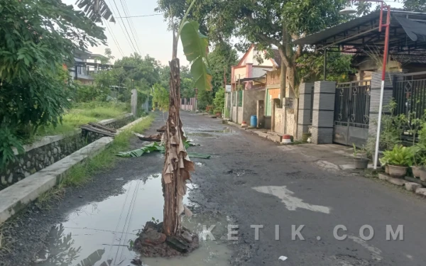 Kesal Dua Tahun Jalan ke Makam Rusak, Warga Mojowarno Jombang Tanami Pisang dan Singkong