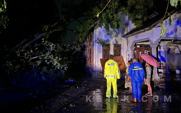 Thumbnail Berita - Angin Kencang Disertai Hujan Deras Terjang Ponggok Blitar, Pohon Roboh Rusak Rumah Warga