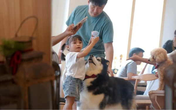 Surga Pecinta Anabul! Tiga Kafe Pet Friendly di Kota Malang yang Bikin Betah
