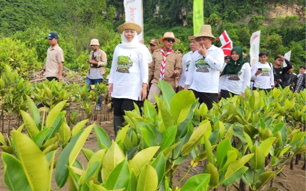Lahan Basah, Ekosistem Strategis Penyangga Kehidupan dan Benteng Alami Indonesia