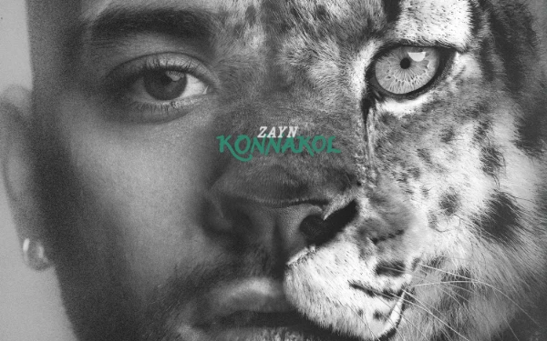 Siap-siap Zquad! Zayn Malik Siap Comeback dengan Album Kelima “Konnakol”