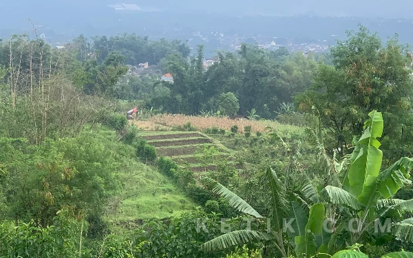 Cegah Longsor di Lahan Miring, Distan KP Batu Dorong Petani Terapkan Terasering