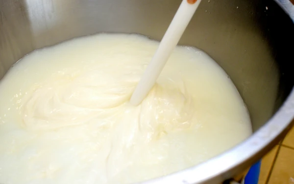 Thumbnail Berita - Jangan Asal Minum Probiotik, Cek Dulu Kandungan Gula dan Label Kemasannya