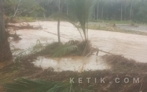 Kerugian Petani Membengkak, Banjir Berulang di Obi Seret Nama PT Poleko Yubarsons
