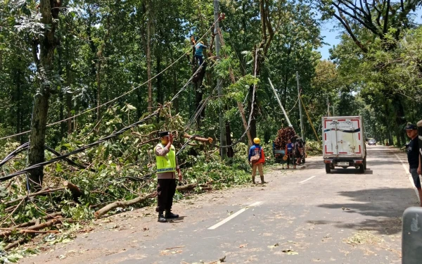 Thumbnail Berita - Pohon Tumbang Rusak Kabel Listrik di Pemalang, Polisi Amankan Proses Perbaikan