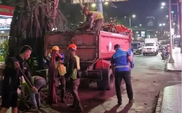 DLH Kota Malang Rempes 119 Pohon, Persiapkan Proyek NUFReP Bank Dunia
