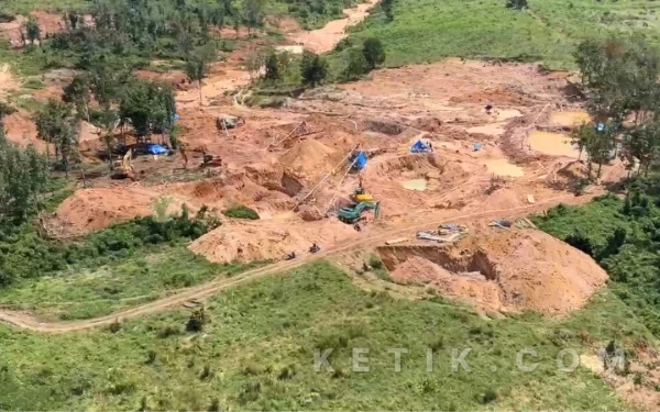 Thumbnail Berita - 200 Hektar Lahan PTPN Dijadikan Tambang Emas Ilegal