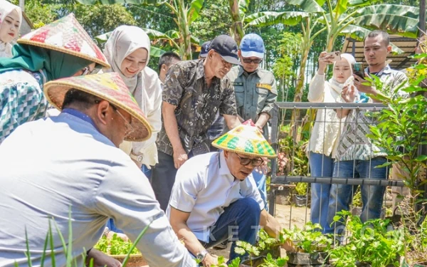 Dari Pekarangan ke SPPG: Bupati Bandung dan Wakil BGM Panen Perdana Program Gertaman