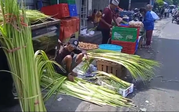 Geliat Lebaran Ketupat, Pedagang Janur Musiman di Kota Malang Banjir Rezeki