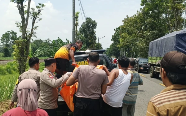 Lansia Tewas Tertabrak KA Sri Tanjung di Jember, Diduga Tak Sadar Kereta Melintas