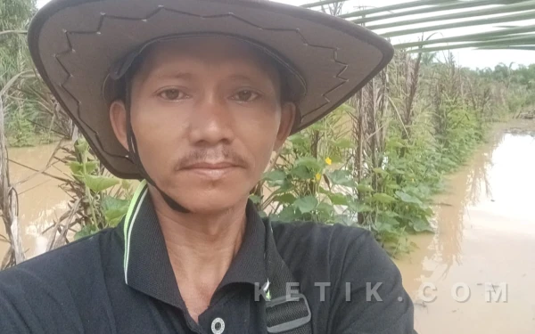 Banjir Rendam Lahan Timun di Aceh Singkil, Petani Terancam Gagal Panen dan Rugi Besar