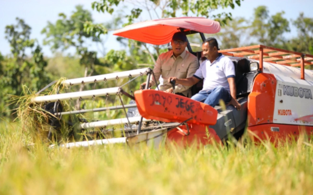 Alsintan Combine Harvester Bantuan Hilang di Jombang, Disperta Tunggu Hasil Penyelidikan Polisi
