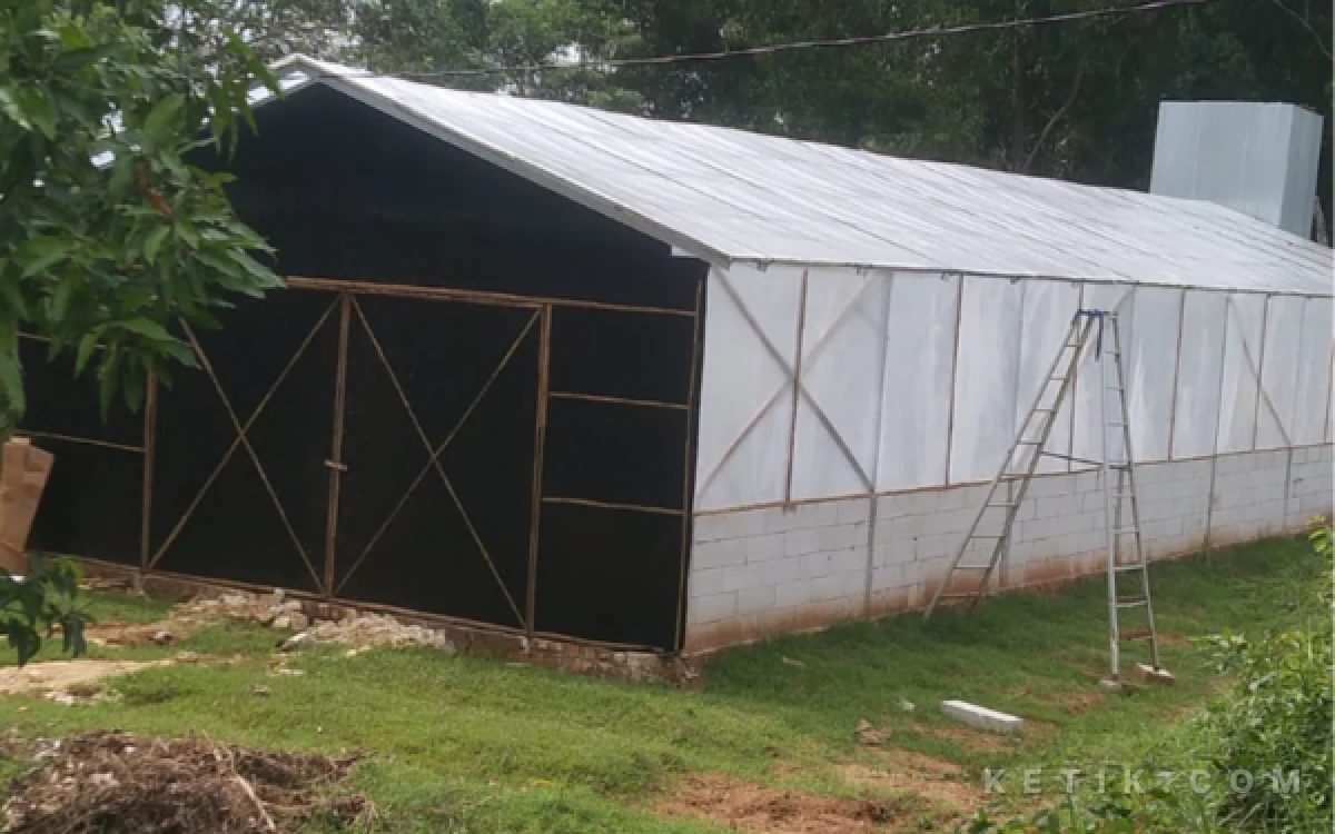 Bau Limbah Kotoran Ayam Dikeluhkan Warga Bunten Barat Sampang, Diduga Milik Andi