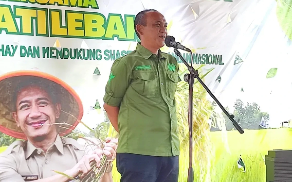 Produksi Beras Lebak Surplus, Stok Aman hingga Lebih dari Empat Bulan