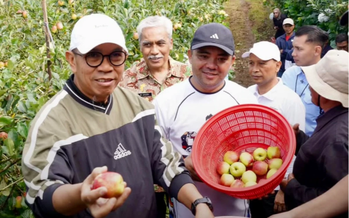Jaga Ikon Daerah, Cak Nur dan Mas Heli Turun Langsung Panen Apel Bersama Petani