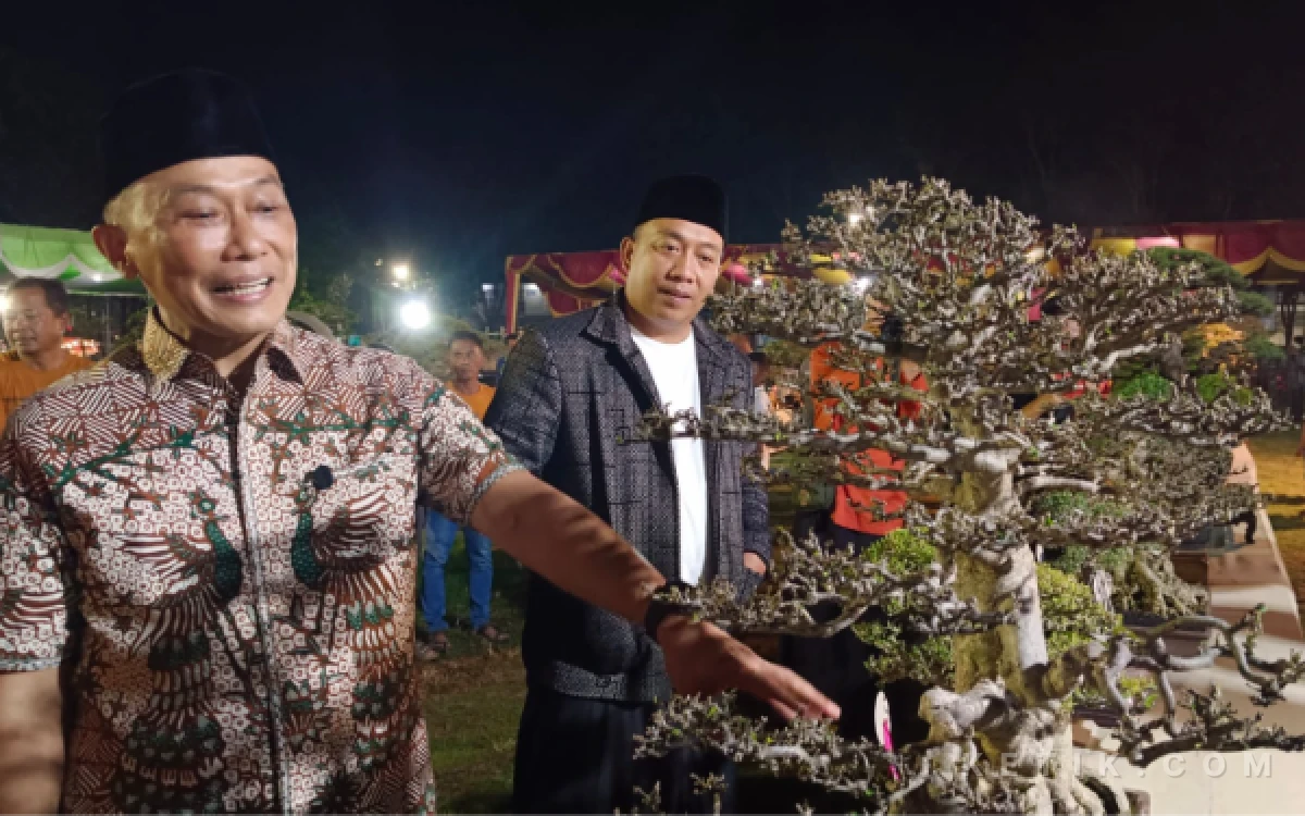 Festival Bonsai Nusantara Situbondo Bangkit, Diikuti Ratusan Koleksi dari Berbagai Daerah