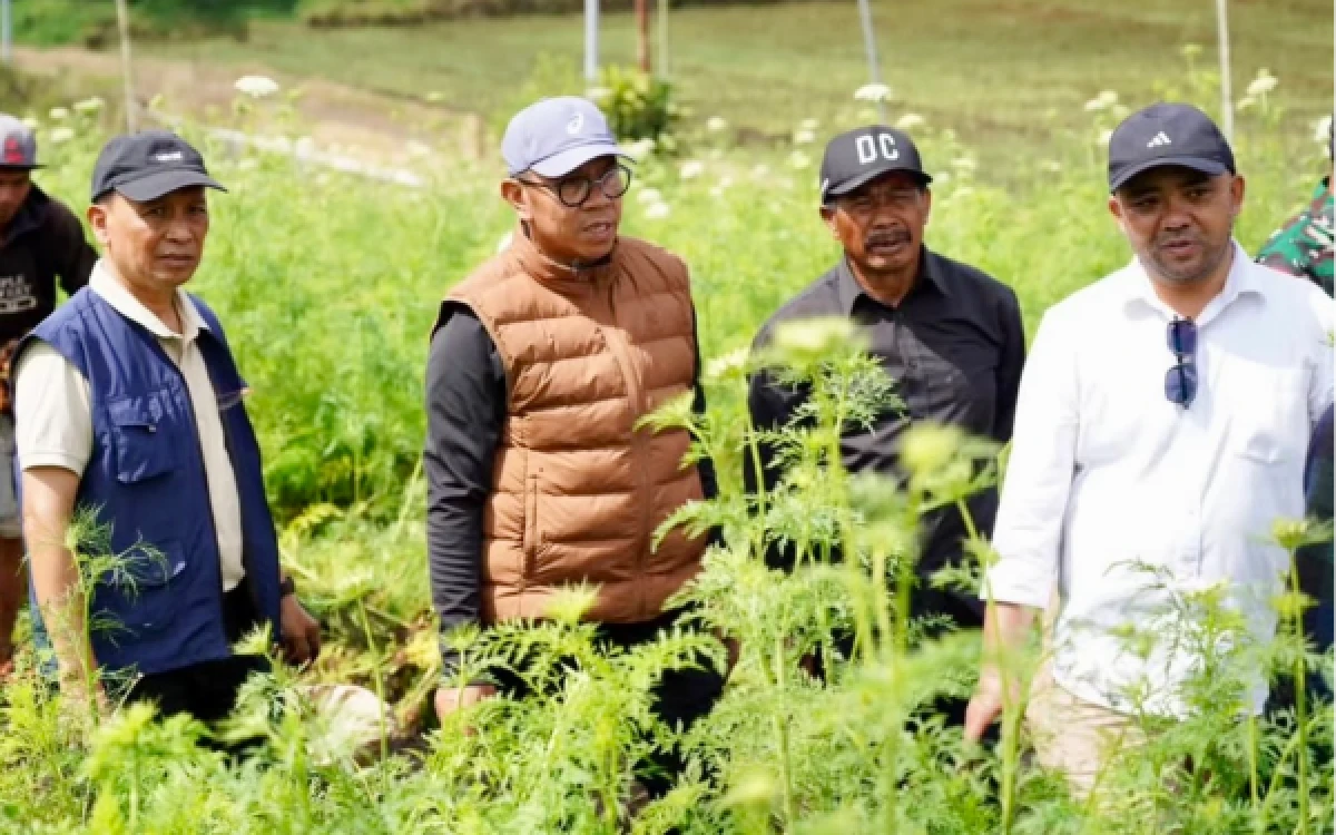 Cak Nur dan Mas Heli Tinjau Lahan Pertanian Tulungrejo, Kembangkan Integrated Farming Apel