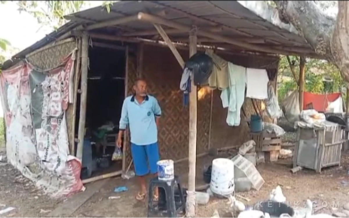 Respons Kabar Viral, Pemkab Brebes Terjunkan Tim Cek Warga yang Tinggal di Area Pemakaman Limbangan