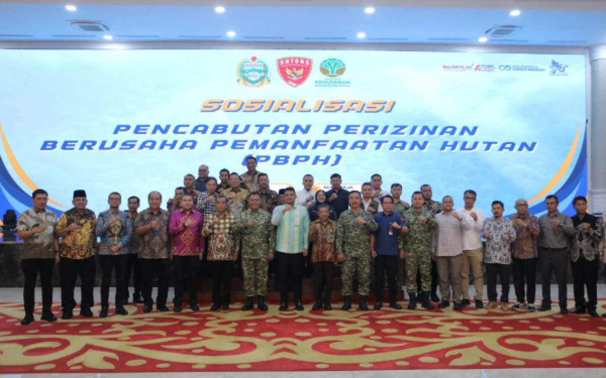 Bupati Asahan Hadiri Sosialisasi Pencabutan Perizinan Berusaha Pemanfaatan Hutan