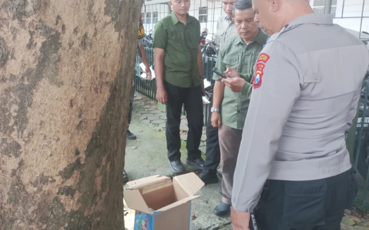 Tak Berperikemanusiaan! Bayi Perempuan Ditemukan Tewas Dalam Kardus di Tengah Kota Malang, Polisi Buru Pelaku